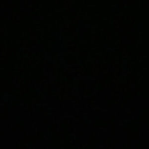 Meet your Posher, Eleanor